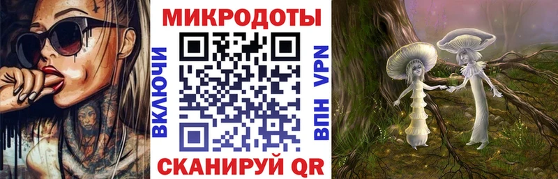 shop как зайти  Кувшиново  Псилоцибиновые грибы Psilocybine cubensis 